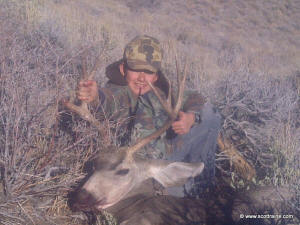 Steel's mule deer buck 2013